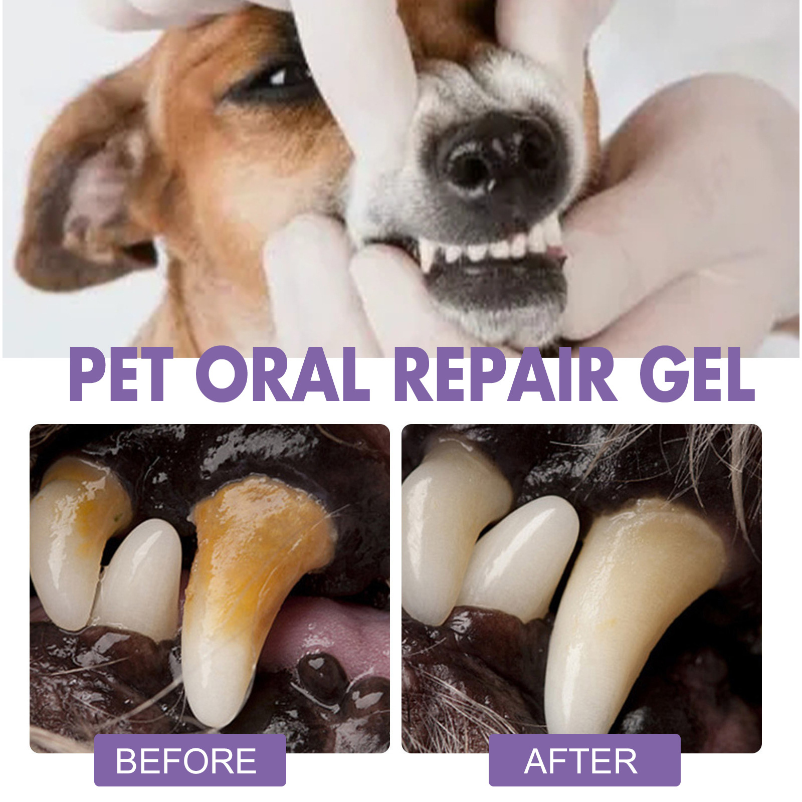 Huisdier Orale Reparatie Gel P - Teeth Whitening Singapore recensie en prijs